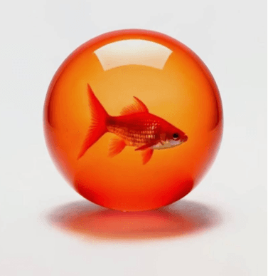 На хвилі ідеї